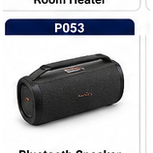 Portable Party Speaker - Roadstar